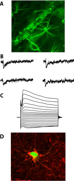 Figure_1